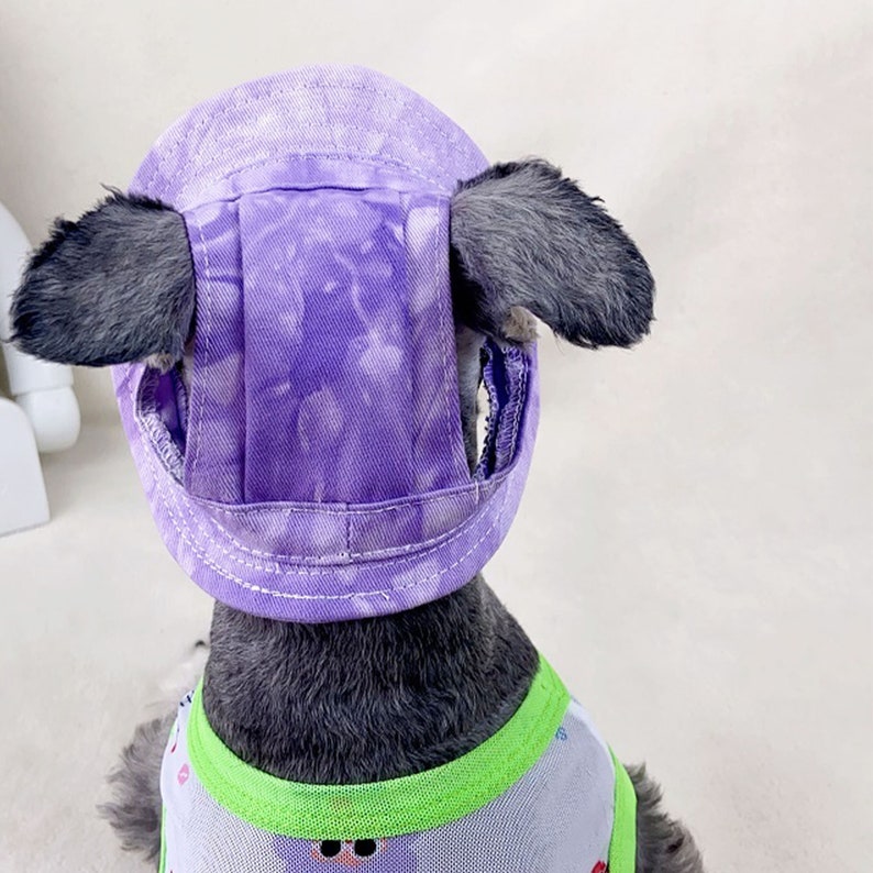 Bob pour chien d'été avec trous d'oreilles, bonnet de soleil pour chien schnauzer, chapeau à visière pour chien, casquette de protection solaire d'extérieur, chapeau de randonnée de voyage pour animaux de compagnie image 5