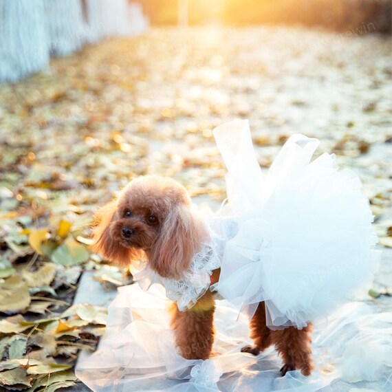 Handgefertigter Tüll-Tutu Für Große Hunde – Gelb, Weich & Flauschig, Mit Verstellbaren Bändern