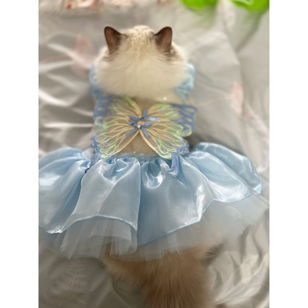 Butterfly Fairy Costume Blue Dress Cat Halloween Costume Magic Fairy