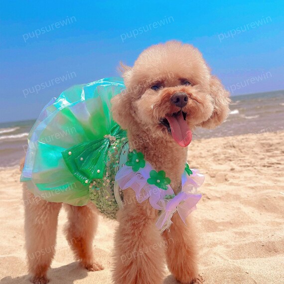 green emerald velvet dress Dog Dresses for Small Dogs Girl Puppy Christmas Outfit Dog Tulle Spring  Clothes with Pearl and Bow (Deep Green, M) : Amazon.ie: Pet Supplies main image 1