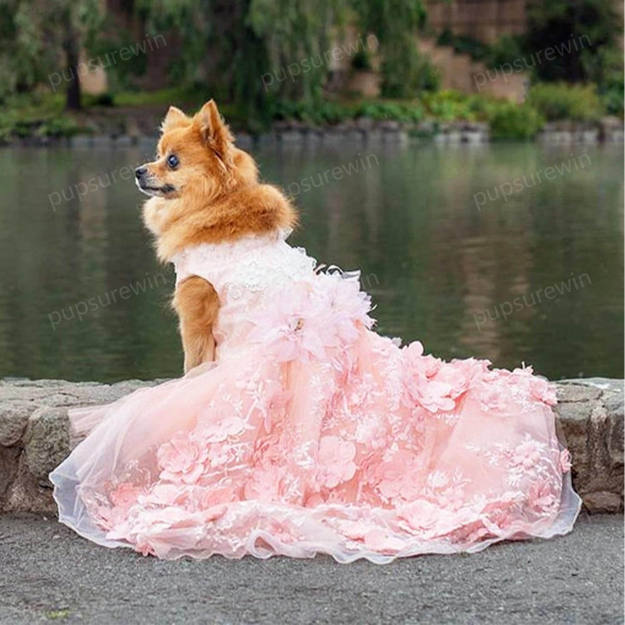 open lace back dress Floral Lace Chiffon Dog Tutu Dress | Poshdoglife.com
