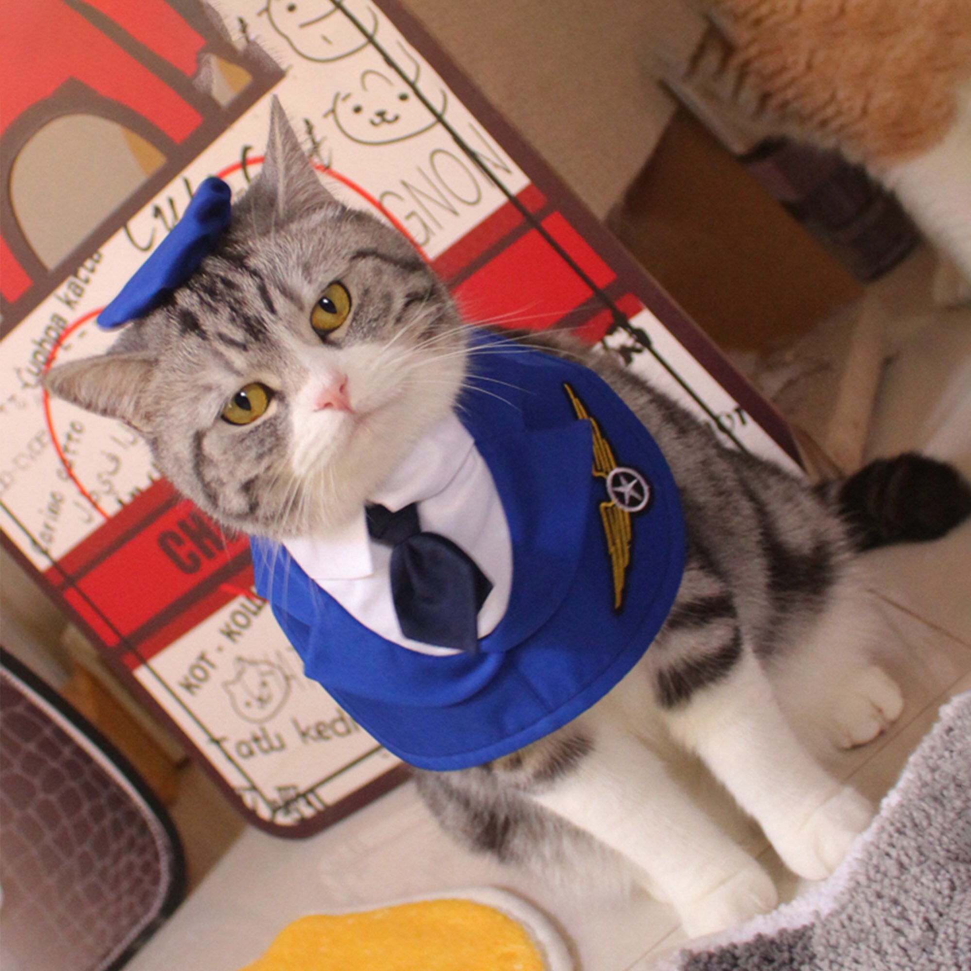 Dog Pilot Costume Halloween Cat Air Force Bandana Pet Airman Etsy