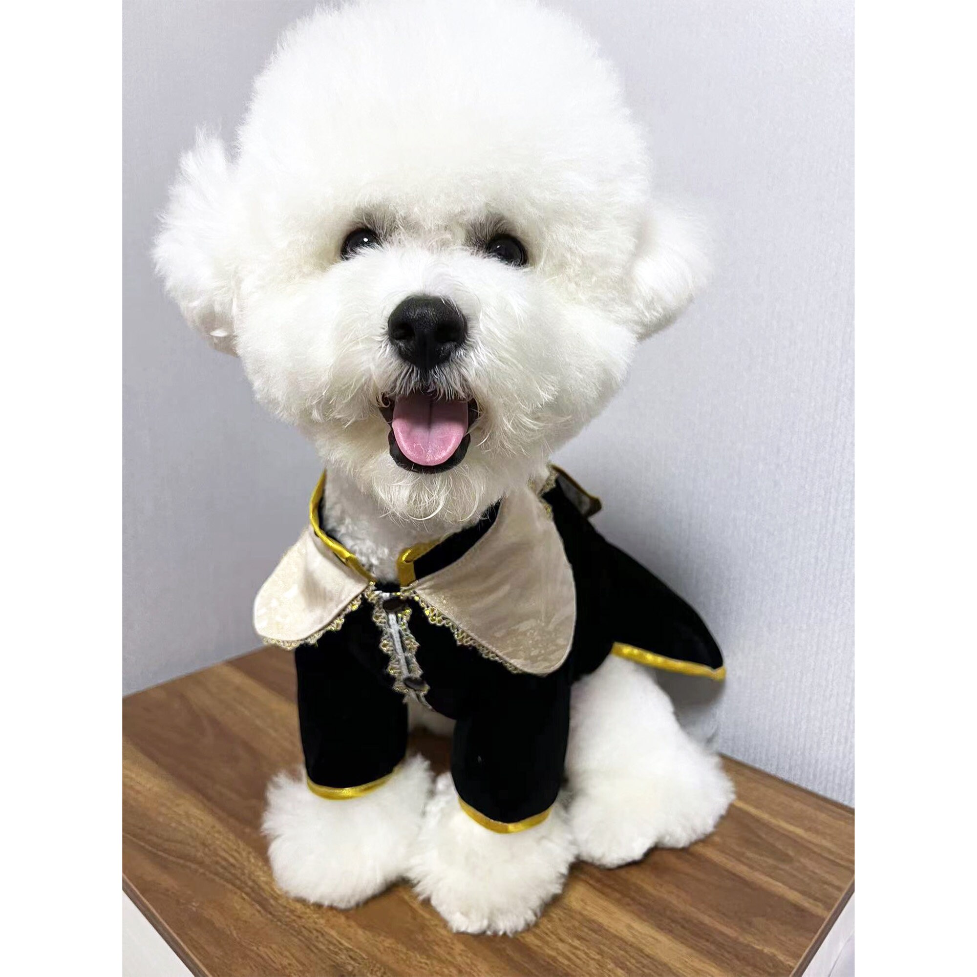 Dog prince charming costume outlet