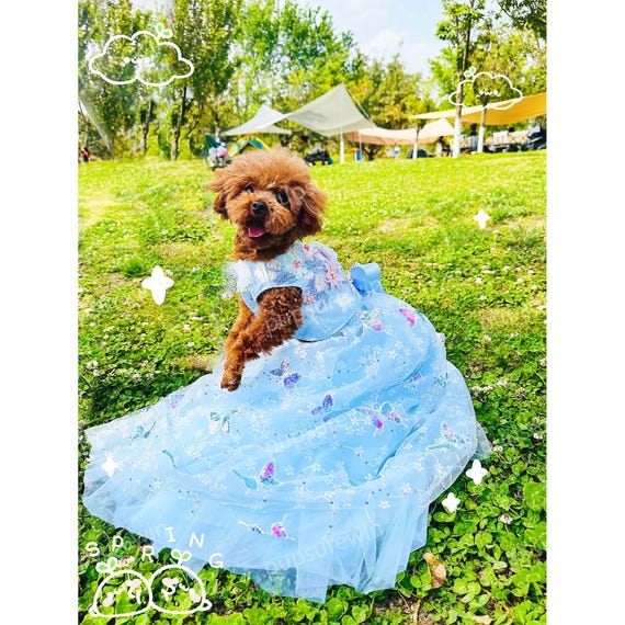 blue dog dresses Dog Dress, Dog Christmas Dress, Cat Dress, Dog Wedding Dress, Dog Dresses  for Large Dogs Girl, Girl Puppy Princess Tutu Dress with Leash Ring,  Fashion Pet Dog Clothes for Birthday Wedding(2XL-Blue) -