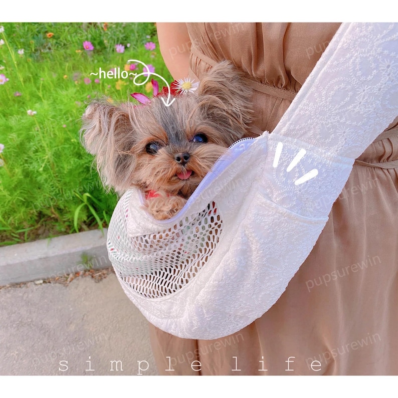 May include: A small brown and white dog with a pink tongue sticking out is inside a white mesh pet carrier. The carrier has a white fluffy lining and a zipper closure. The carrier is being held by a person wearing a beige dress.