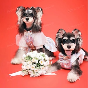 New Year Dog Costume Couple Matching Outfits, Chinese New Year Dog Clothes Spring Festival,Custom Wedding Dress for Large Dogs and Cats Pets