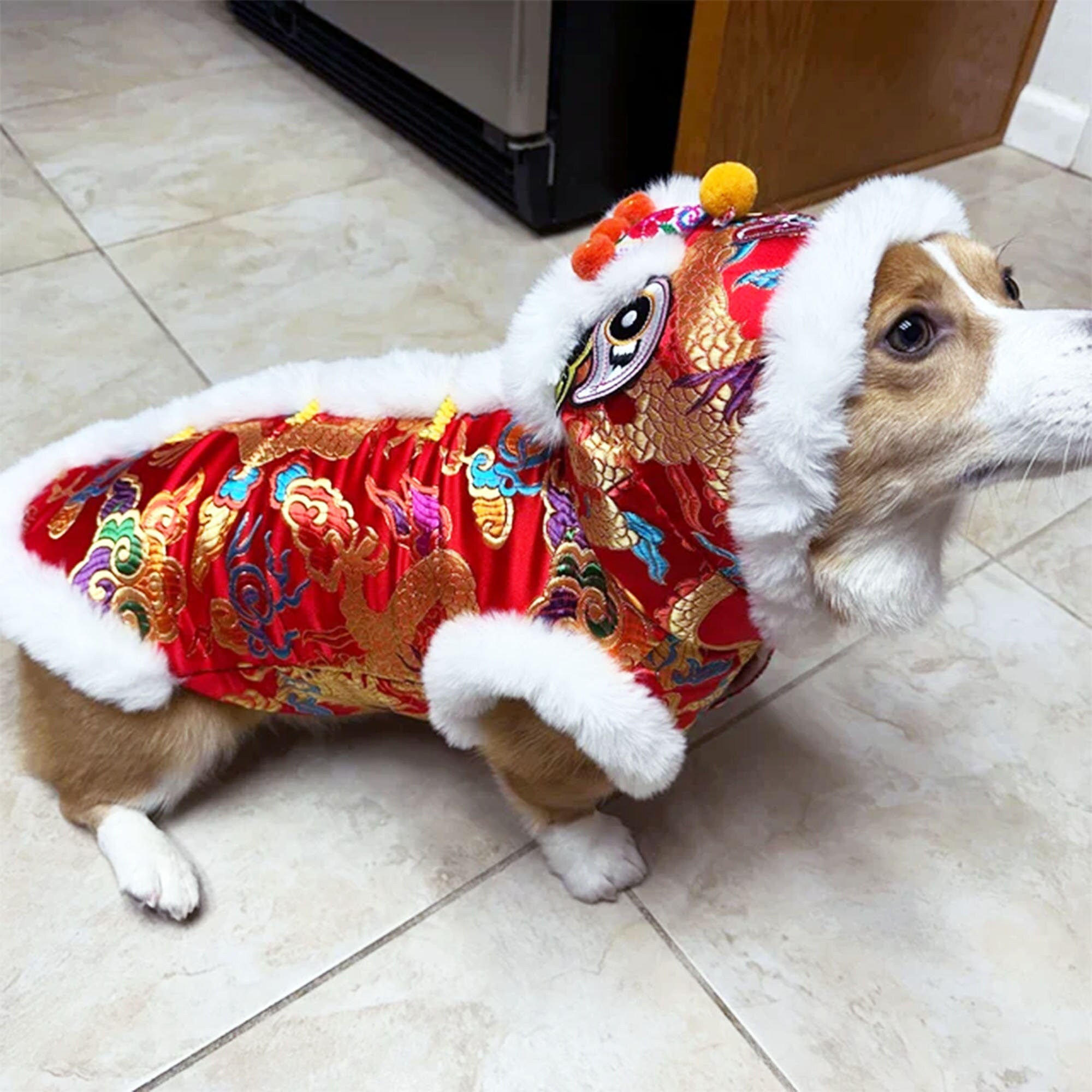 Chinese new year outfit for dogs 2025