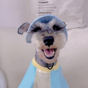 Bob pour chien d'été avec trous d'oreilles, bonnet de soleil pour chien schnauzer, chapeau à visière pour chien, casquette de protection solaire d'extérieur, chapeau de randonnée de voyage pour animaux de compagnie image 2