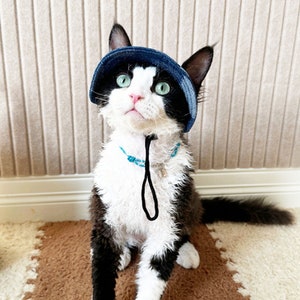 Devon Rex Cat Bucket Hat with Ear Holes, Summer Hairless Cat Topee, Cat Sunbonnet Cap Visor Hat,Sun Protection Cap Travel Hiking Hat for Pet image 4