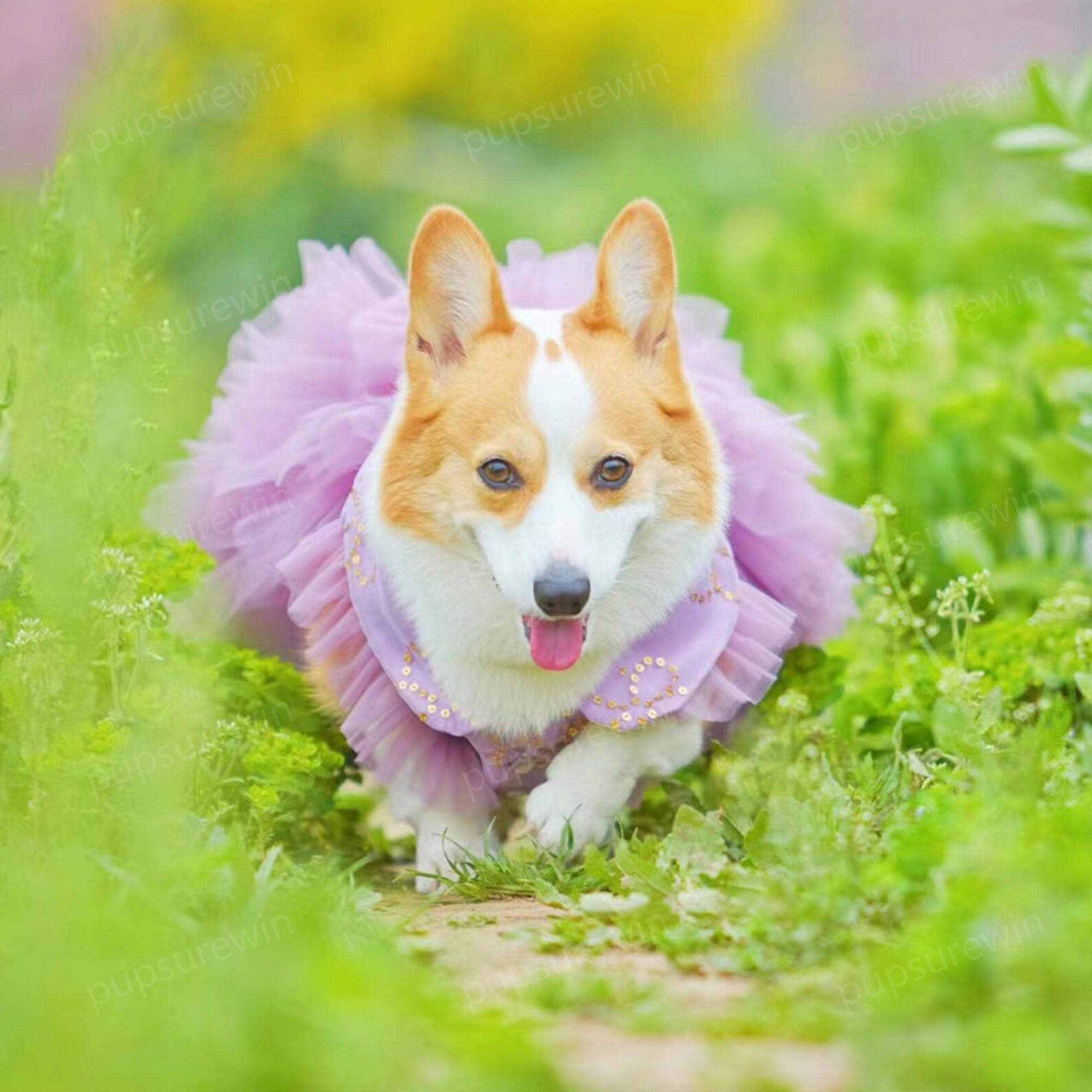 laifug dress puppy princess purple Amazon.com : Laifug Dog Dress Puppy Print Princess Dog Dress Cute Party Wear (Pink, M) : Pet Supplies