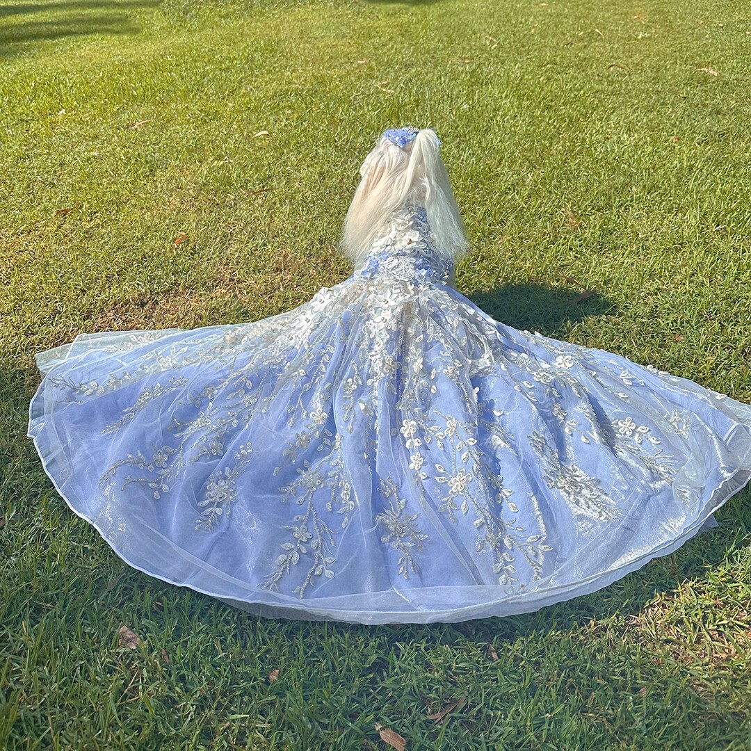 Dog Long Trailing Gown Ice Blue, Flower Embroidered Tulle Floor Length