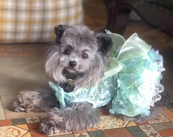 3D Flower Dress for Dog, Purple Fancy Dog Dress, Cat Dog Wedding