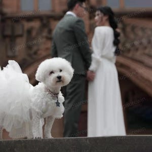 犬用ウェディングドレス カスタムサイズ、大型犬と猫用誕生日チュチュドレス、ペット用プリンセスコスチューム 夏用ペット服、子犬用パーティードレス