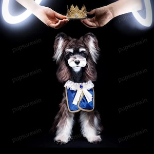 Beast Prince Dog Bib, Halloween Prince Charming&#39;s Knight Costume Navy Bandana for Dogs and Cats, Custom Sizing Pets Bibs Prince Dog Bandana