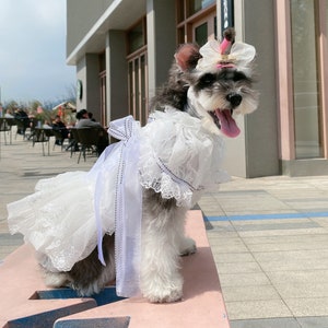 Dog dresses for large dogs online