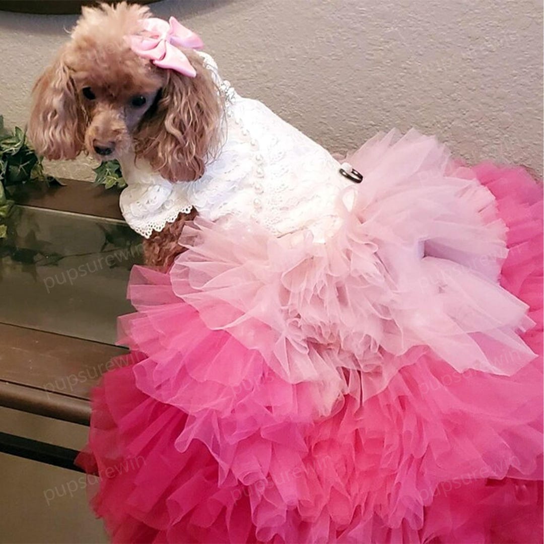 Wedding Dog Long Train Ballgown Custom Size, Ombre Fuschia Tulle