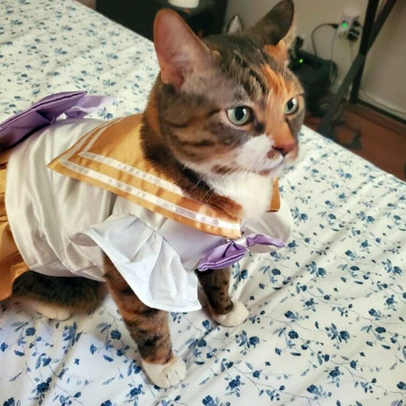 Cat birthday costume cheap