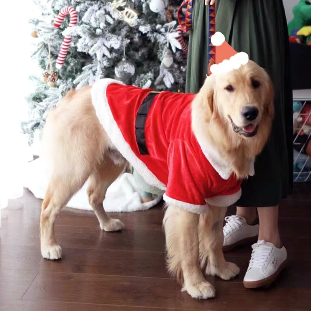 Large Dog Christmas Costume, Xmas Santa Red Hooded Coat for Dogs Cats