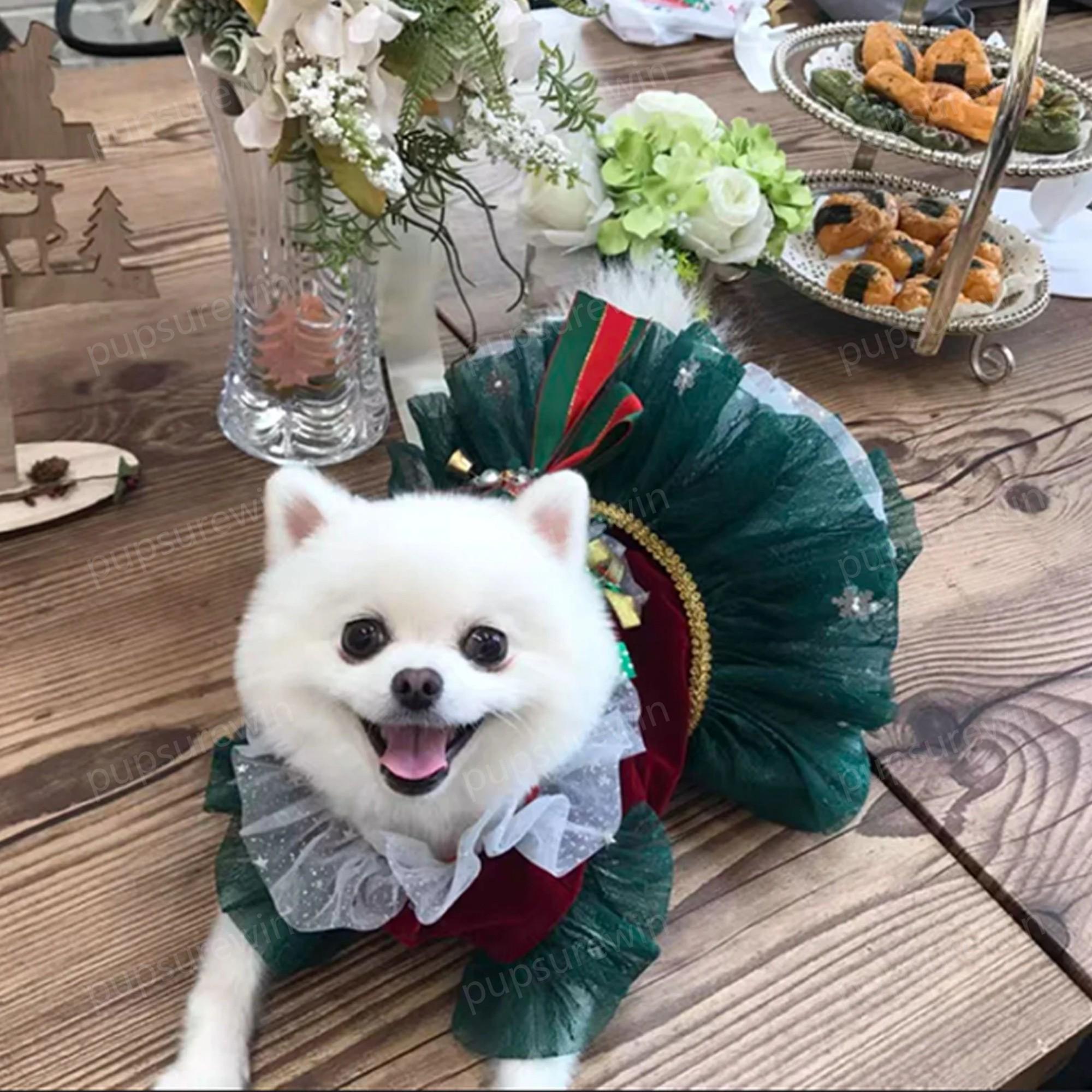 Dog Christmas Tree Costume Xmas Party Santa Dress, Fancy Red Green Tutu Dress for Dogs and Cats, Custom Pet Clothes Xmas Costume Xmas Gift