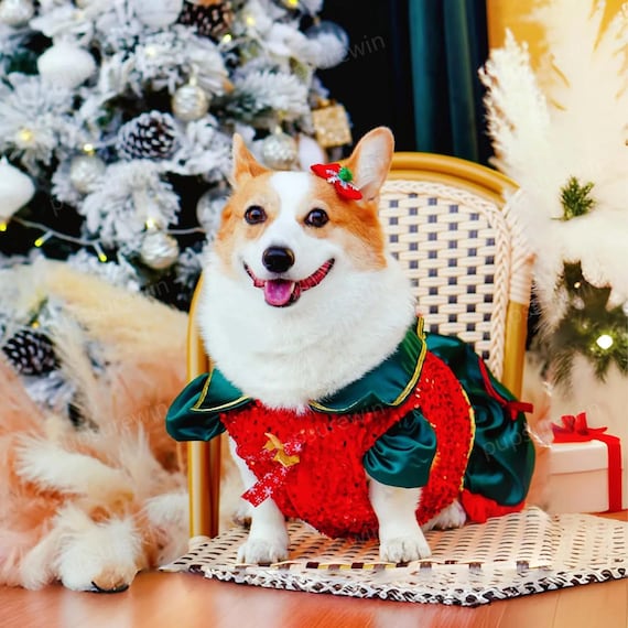 Dog Costume Traje Duende Perro Disfraz De Elfo Navideño Para Perro