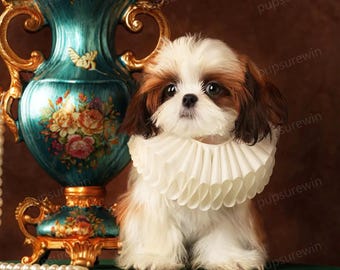 White Ruff Collar for Cats and Dogs, Renaissance Pet Costume Elizabethan Collar, Thanksgiving Gift for Pet Lover, Pet Photography Prop