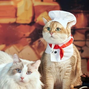Halloween Cat Chef Costume, Pet Baker Outfit, Chef Hat with Ears Holes, Baker Bandana Bib for Cats and Dogs, Western Restaurant Cook Uniform