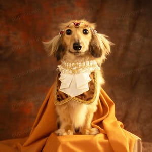 Royal Prince Bibs for Dogs and Cats, Duke Noble Pet Costume, Halloween Dog Bandana Bibs, Pets Bibs for Wedding Birthday Cosplay Photo Shoots