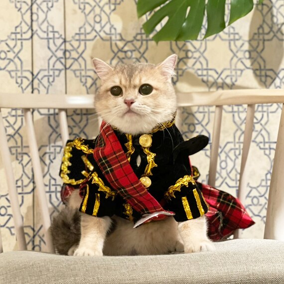 Cat Dog Halloween Costume 2022 Cat Dog Military Uniform Halloween Costume Scottish Dog Etsy India