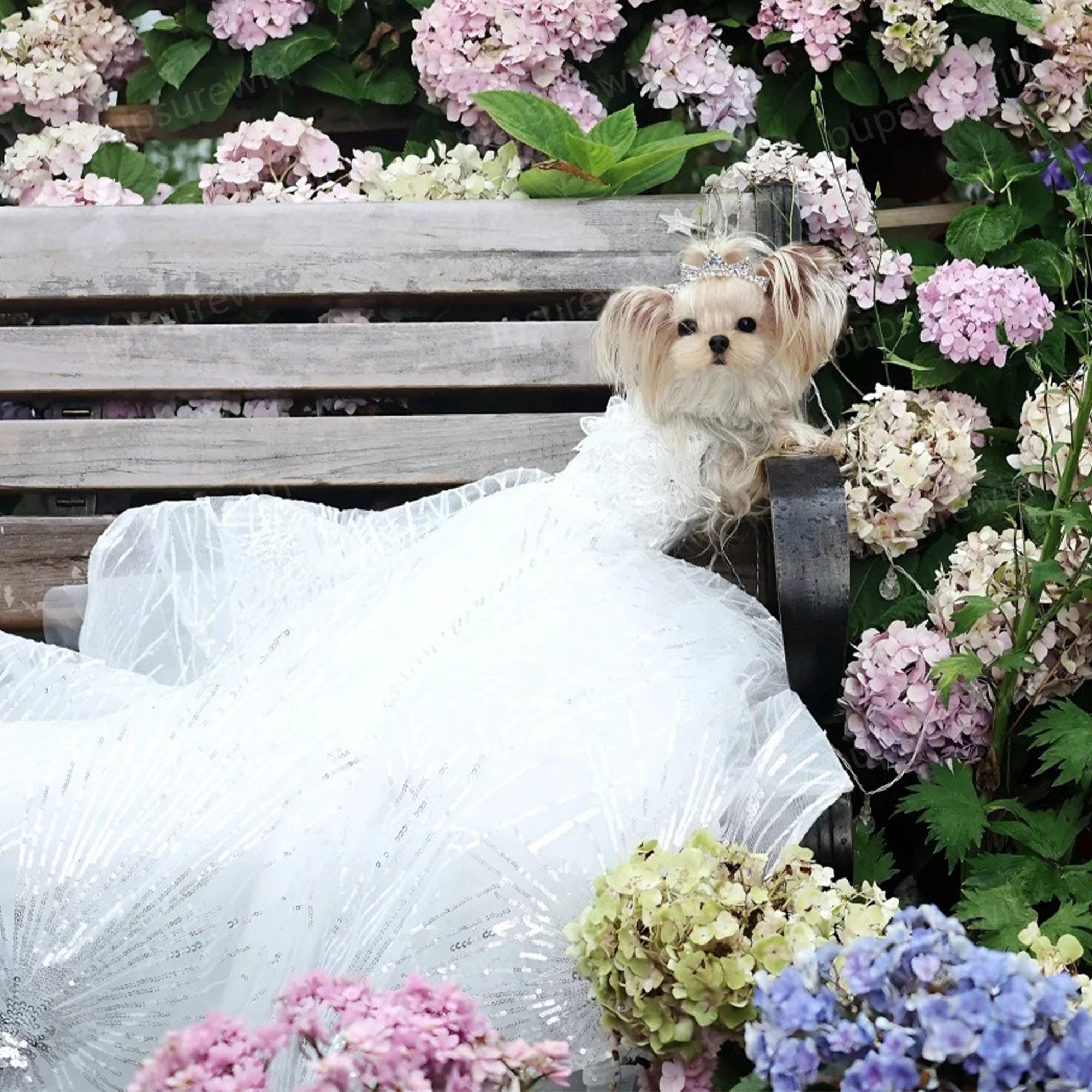 Custom Dog Wedding Dress Sparkly White Long Train Gown, Bride