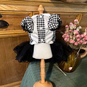 K&ouml;nnte beinhalten: Ein schwarz-wei&szlig;es Gingham-Kleid f&uuml;r Hunde mit einem wei&szlig;en Satin-Oberteil und einem schwarzen T&uuml;llrock mit Spitzenbesatz.