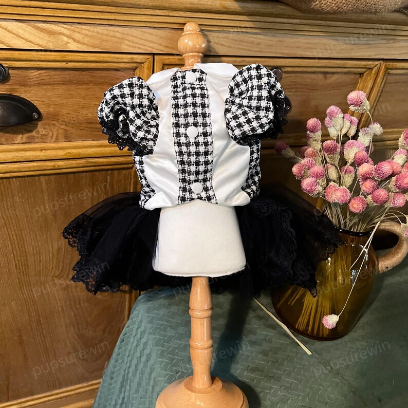 K&ouml;nnte beinhalten: Ein schwarz-wei&szlig;es Gingham-Kleid f&uuml;r Hunde mit einem wei&szlig;en Satin-Oberteil und einem schwarzen T&uuml;llrock mit Spitzenbesatz.