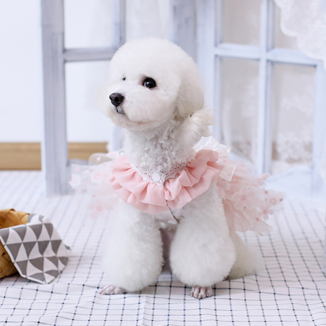 Dog Wedding Dress Bridesmaid Costume Birthday Holiday Fancy Etsy
