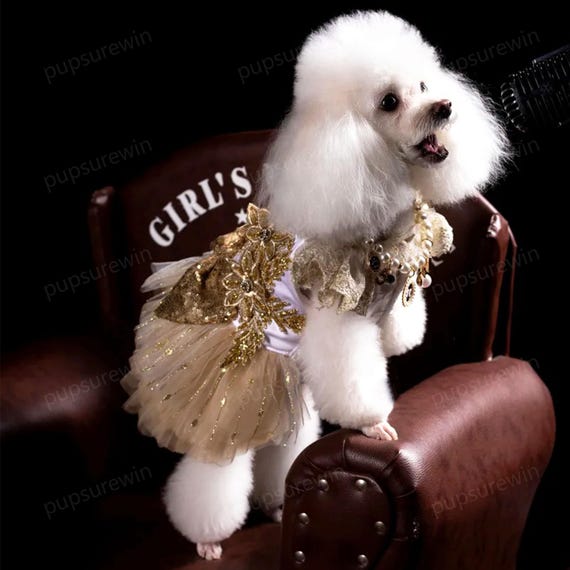 Custom Wedding Dog Dress, 3D Floral Sequined Embroidery Champagne Gold  Tulle Dress for Cats and Large Dogs, Dog Birthday Outfit Pets Clothes - Etsy