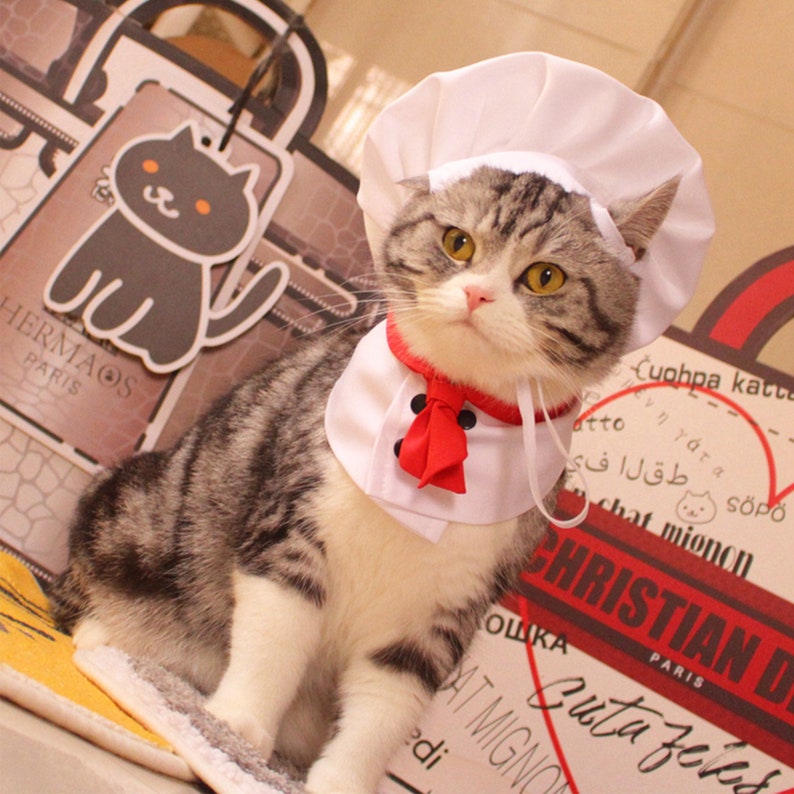 Dog Chef Costume Halloween Cat Baking Hat Cook Bandana Pet image 1