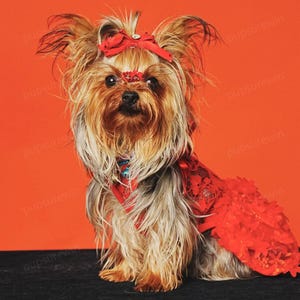Hochzeit Hundekleid, Blumenmädchen Braut rot 3D Floral Tüllkleid für Katzen & große Hunde, Benutzerdefinierte Haustier Kleidung, Geburtstag Outfit Sommer Haustier Kleid