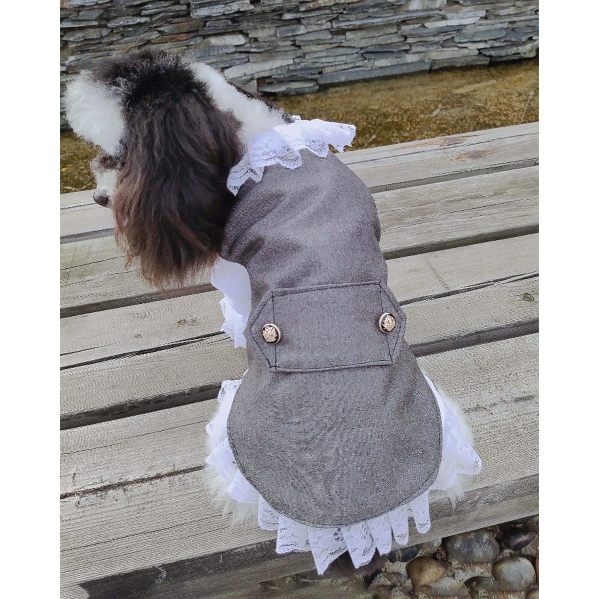 Boy Dog Wedding Suit Pet Bridegroom Costume Puppy Doggy Cat Etsy