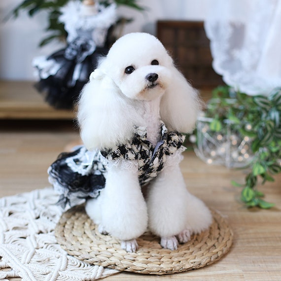 Coco Tweed Doggie Puppy Sweater