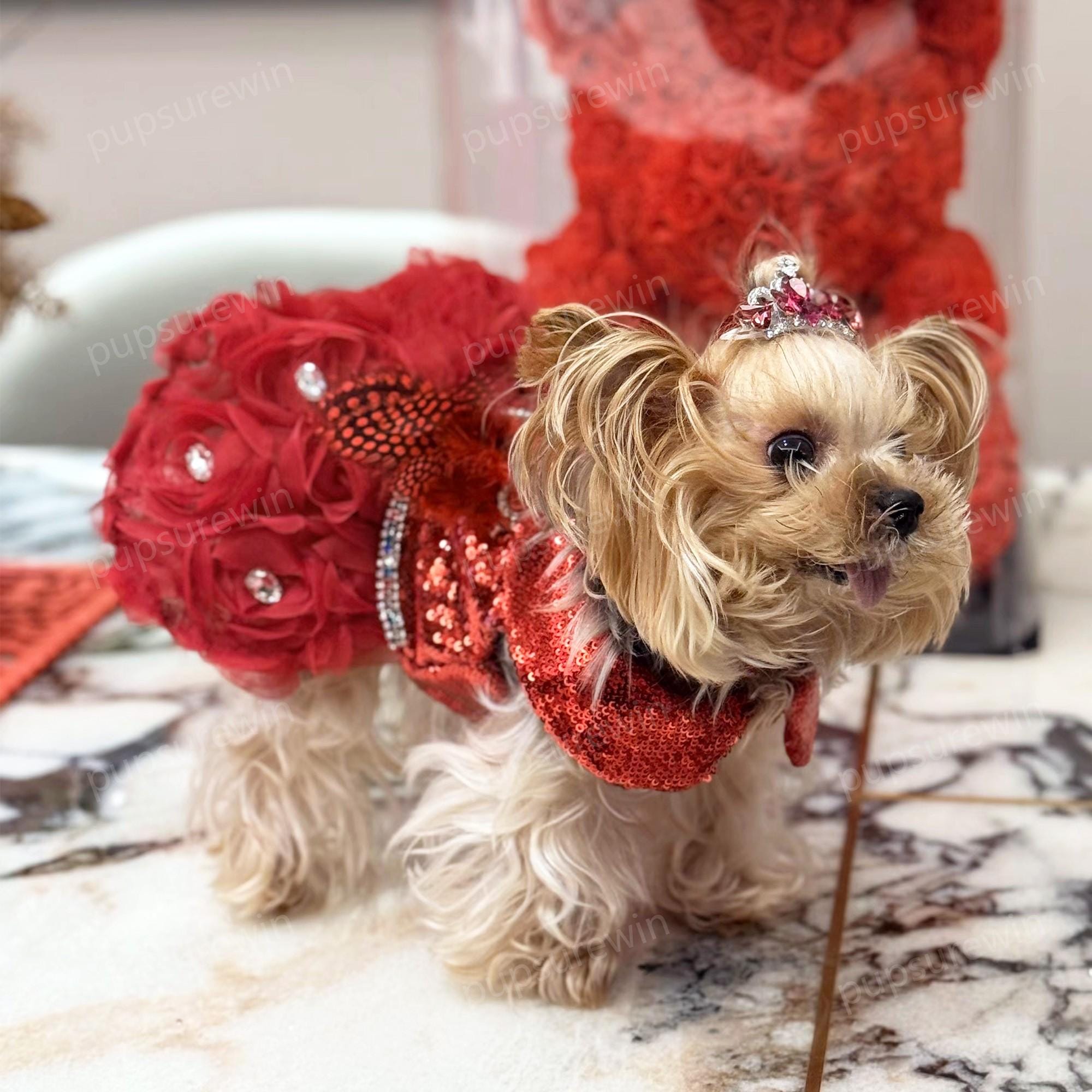 dog in red dress Holiday Dog Harness Dress