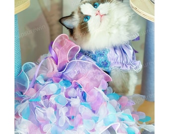 Puede incluir: Un gato blanco con ojos azules que lleva un vestido azul y morado claro con tul rosa y azul. El vestido tiene un gran lazo rosa y está decorado con lentejuelas.