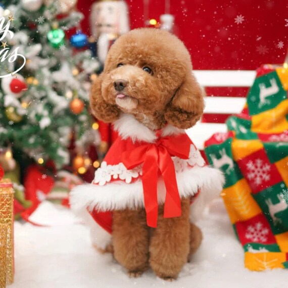 Christmas Dog Cape New Years Dog Costume, Xmas Santa Red Velvet Cape for  Large Dogs and Cats, Chinese New Year Outfit Winter Pets Clothes