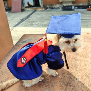 Custom Dog Graduation Cap and Gown, Graduation Robe Outfit for Dogs and Cats, Pet Doctoral Graduation Outfit Graduation Gift, Pet Clothes