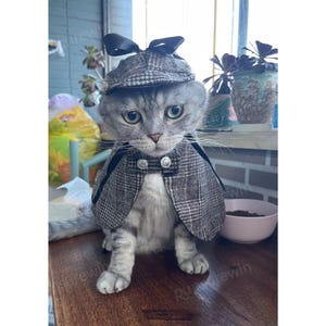 Cat Detective Costume Halloween, Deerstalker Hat with Ears Holes, Vintage Brown Plaid Wool Cape for Cats Dogs, Winter Pet Clothes Custom