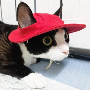 Cappello a secchiello per gatti Sphynx con fori per le orecchie, cappello estivo per gatto, topee per gatti senza peli Devon Rex, cappello con visiera Sunbonnet per gatti, berretto di protezione solare cappello per animali domestici Red