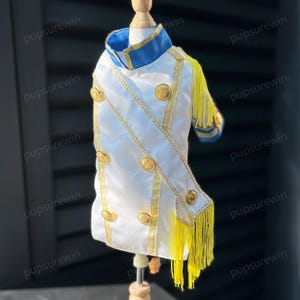 Halloween Prince Charming Costume for Cats & Dogs, Royal Knight Outfit for Pets Cosplay/Birthday Party/Themed Photoshoot, Custom Size Color