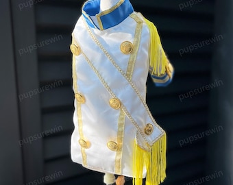 Halloween Prince Charming Costume for Cats & Dogs, Royal Knight Outfit for Pets Cosplay/Birthday Party/Themed Photoshoot, Custom Size Color