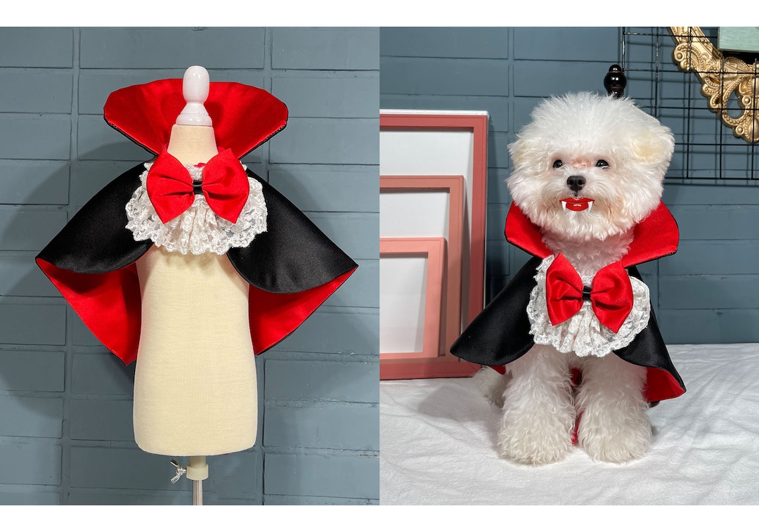 Cat Dog Vampire Costume Halloween Dog Dracula Count Cloak Etsy