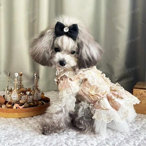 Dog Princess Costume Halloween, Royal Court Queen Costume Luxury Peach Pink Dress for Dogs Cats, Cat Dog Birthday Outfit Pet Clothes Custom