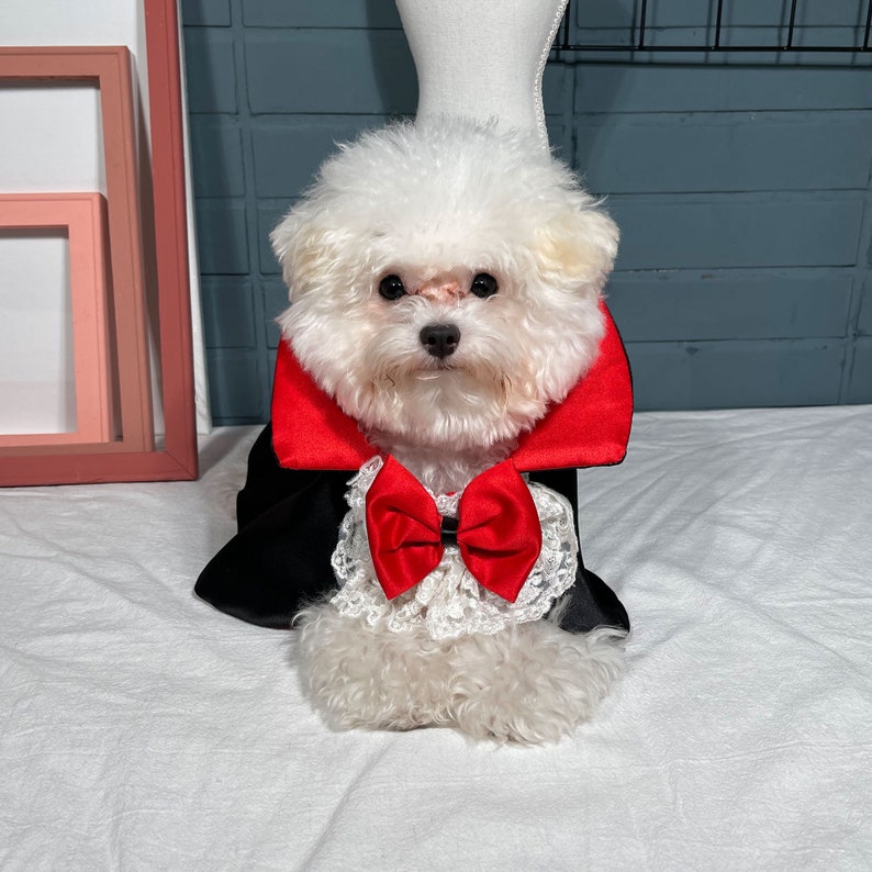 Cat Dog Vampire Costume Halloween Count Dracula Robe Pet Etsy