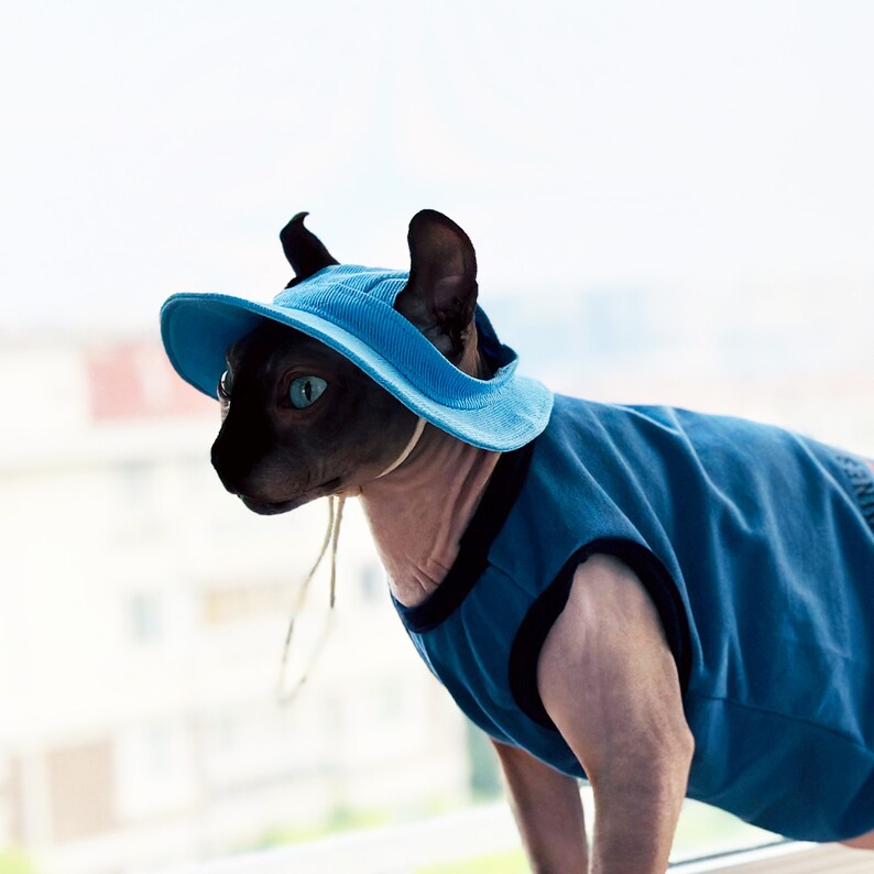 Cappello a secchiello per gatti Sphynx con fori per le orecchie, cappello estivo per gatto, topee per gatti senza peli Devon Rex, cappello con visiera Sunbonnet per gatti, berretto di protezione solare cappello per animali domestici Sky Blue