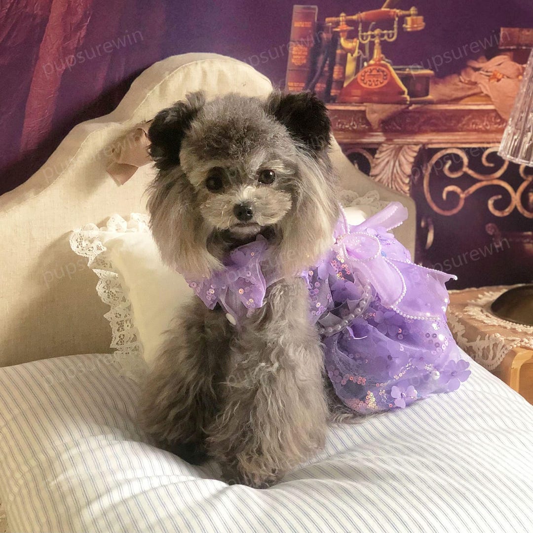 3D Flower Dress for Dog, Purple Fancy Dog Dress, Cat Dog Wedding